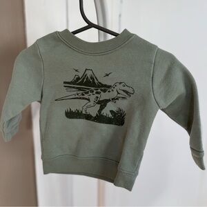 🟡 6 for $30 Dinosaur Sweatshirt for Baby